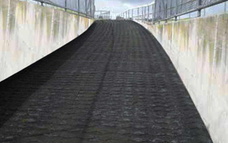 Livestock Incline Mat